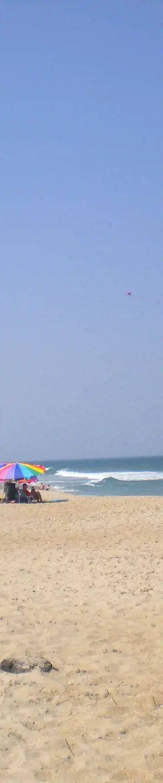 Erkunde das Cape Hatteras National Seashore